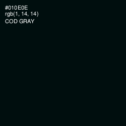 #010E0E - Cod Gray Color Image